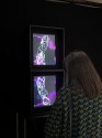slideshow